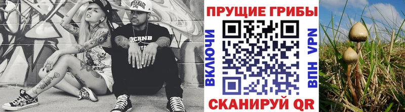 MEGA tor  Плавск  Галлюциногенные грибы Psilocybine cubensis 